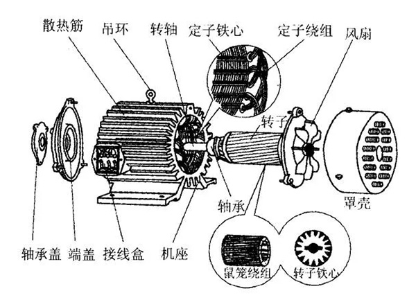 三相異步電動(dòng)機(jī)的六種分類方法及具體分類。